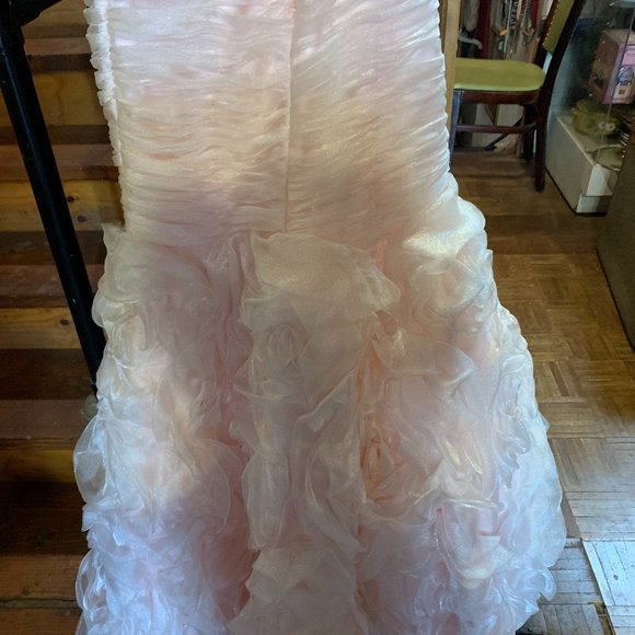 Fancy Ball Gown - Picture 5 of 7